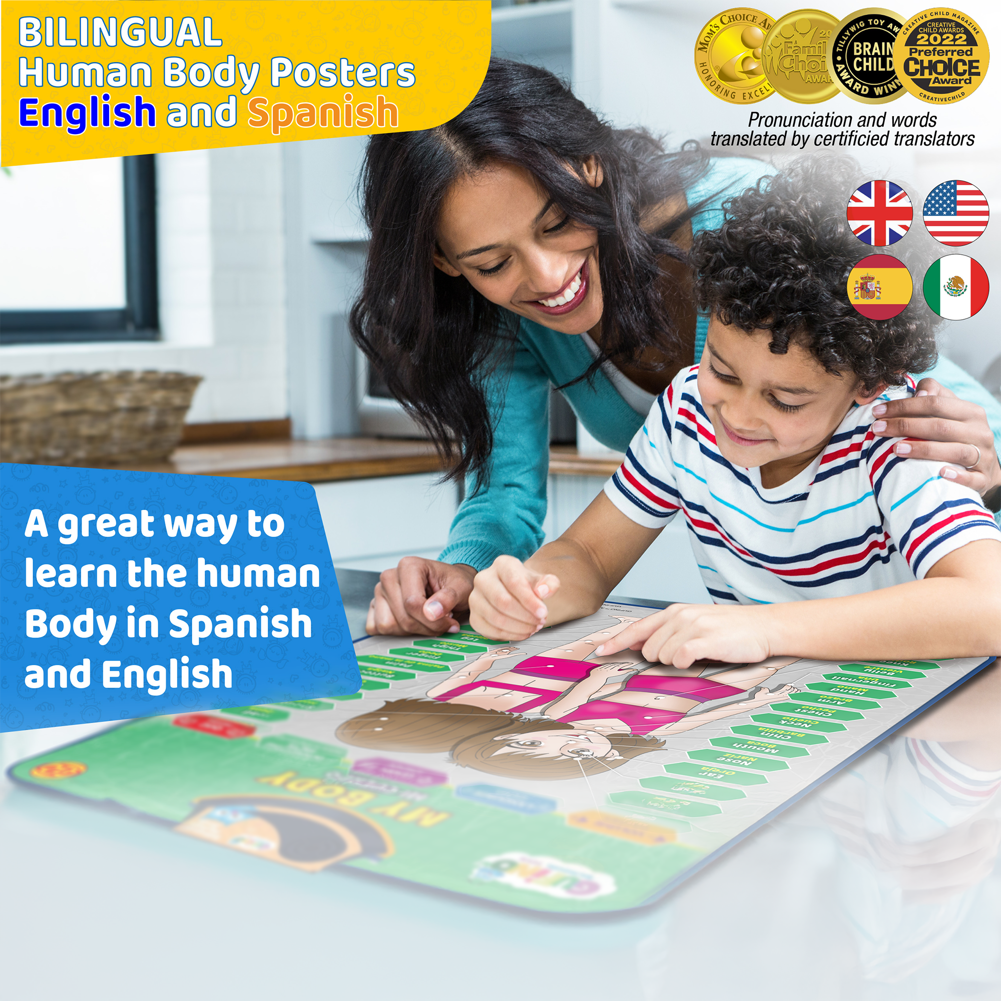 Human Body Poster for Kids: Organs, Muscles & Bones - Spanish and English - Gufino Bilingual Learning