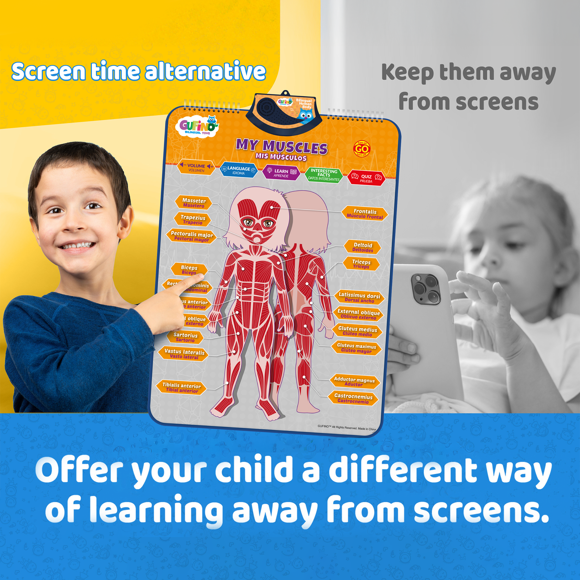 Human Body Poster for Kids: Organs, Muscles & Bones - Spanish and English - Gufino Bilingual Learning