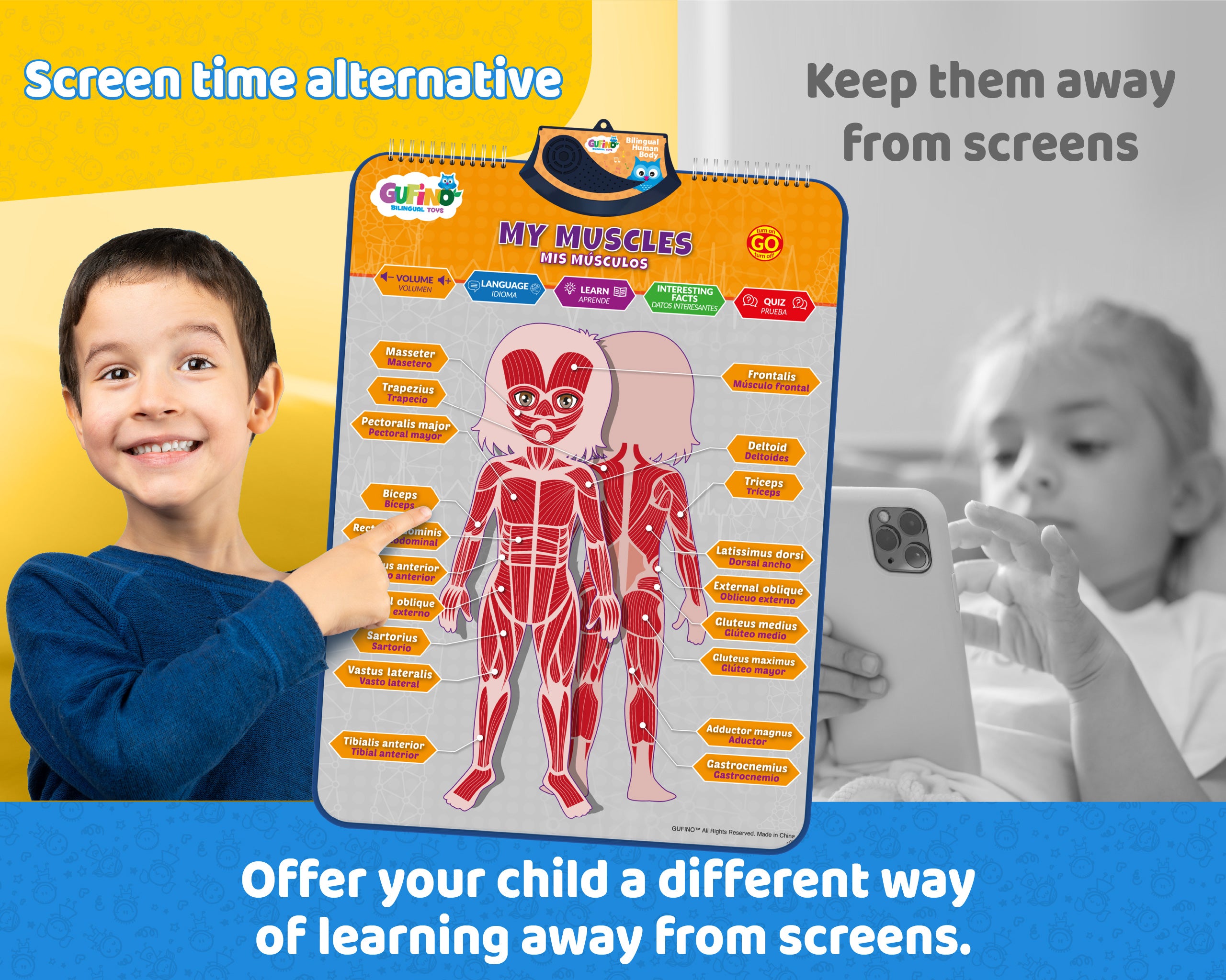 Human Body Poster for Kids: Organs, Muscles & Bones - Spanish and English - Gufino Bilingual Learning