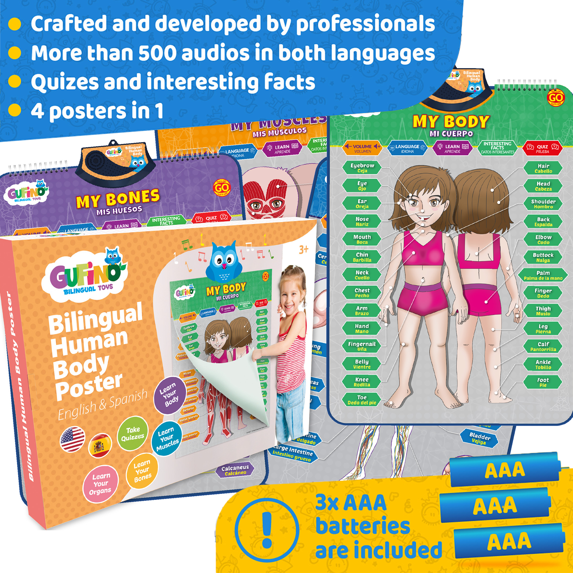 Human Body Poster for Kids: Organs, Muscles & Bones - Spanish and English - Gufino Bilingual Learning