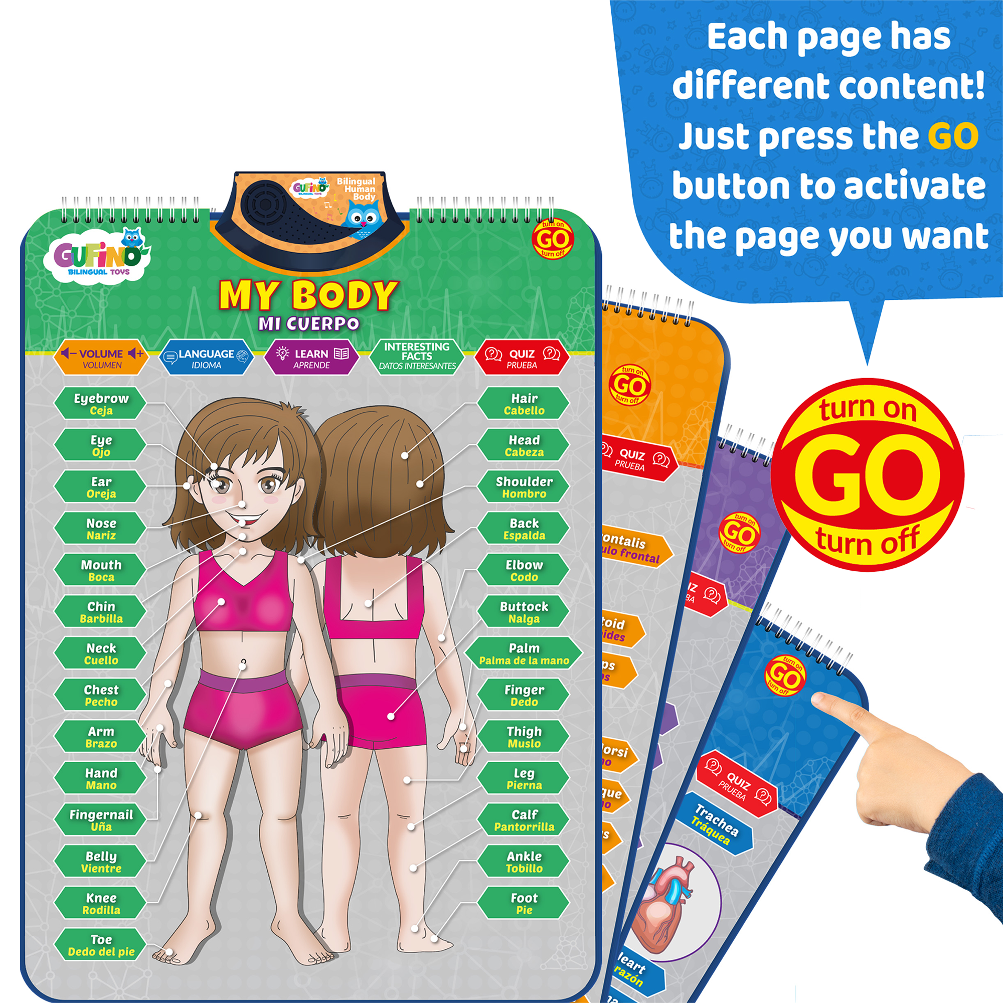 Human Body Poster for Kids: Organs, Muscles & Bones - Spanish and English - Gufino Bilingual Learning