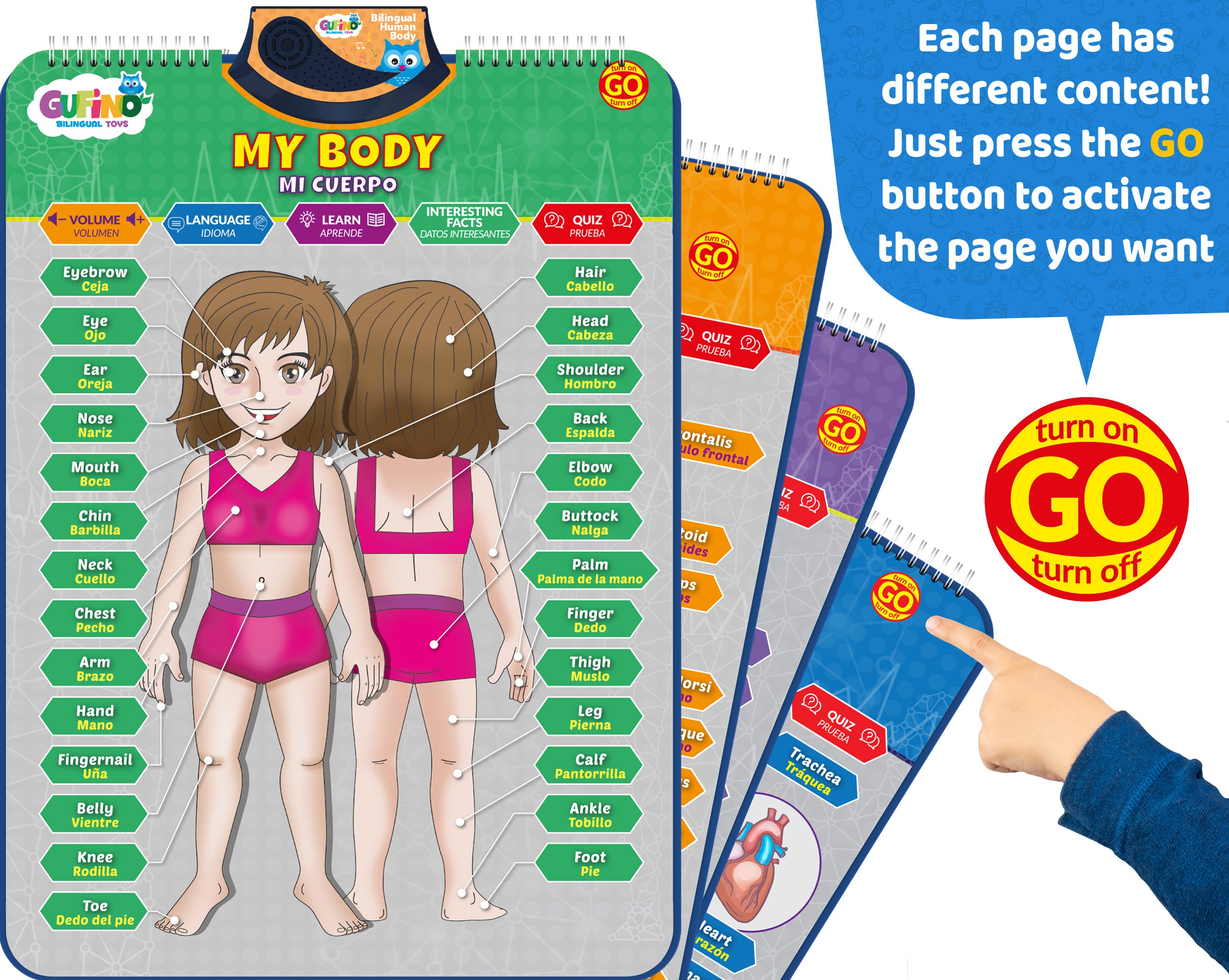 Human Body Poster for Kids: Organs, Muscles & Bones - Spanish and English - Gufino Bilingual Learning